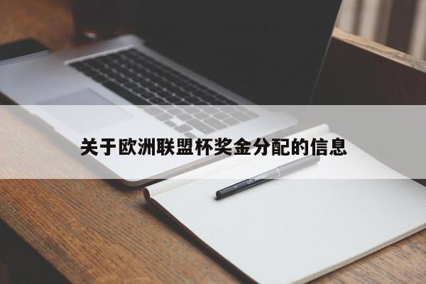 关于欧洲联盟杯奖金分配的信息