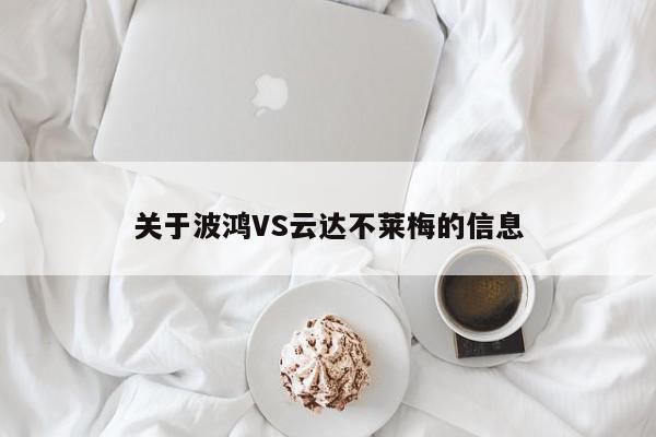 关于波鸿VS云达不莱梅的信息