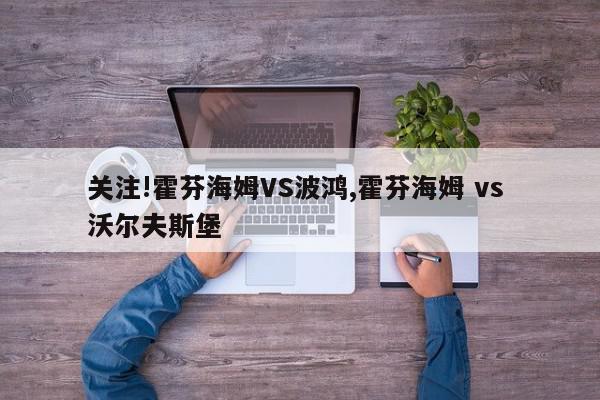 关注!霍芬海姆VS波鸿,霍芬海姆 vs 沃尔夫斯堡